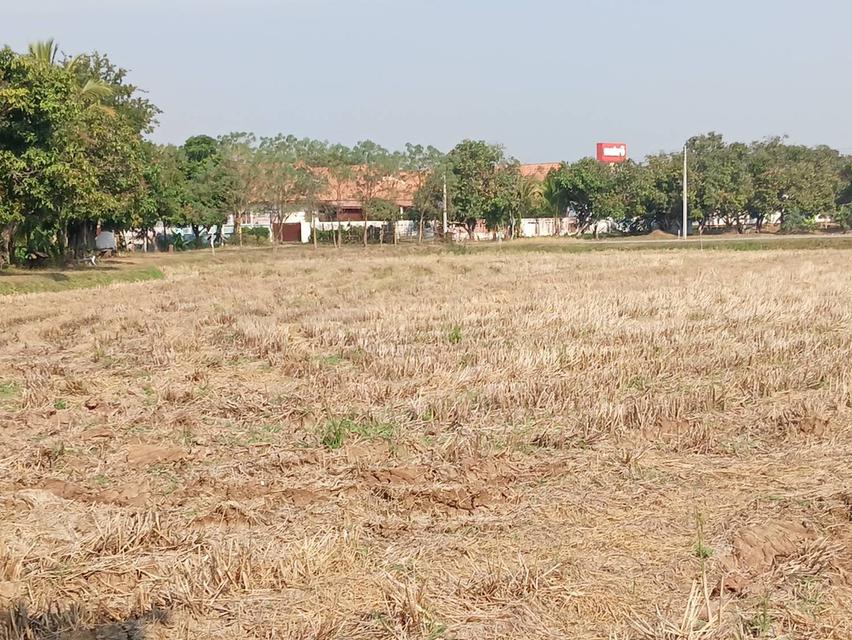 ขายที่ดิน แบ่ง 3 แปลง เจ้าของขายเอง 91 ตารางวา ขอนแก่น 9