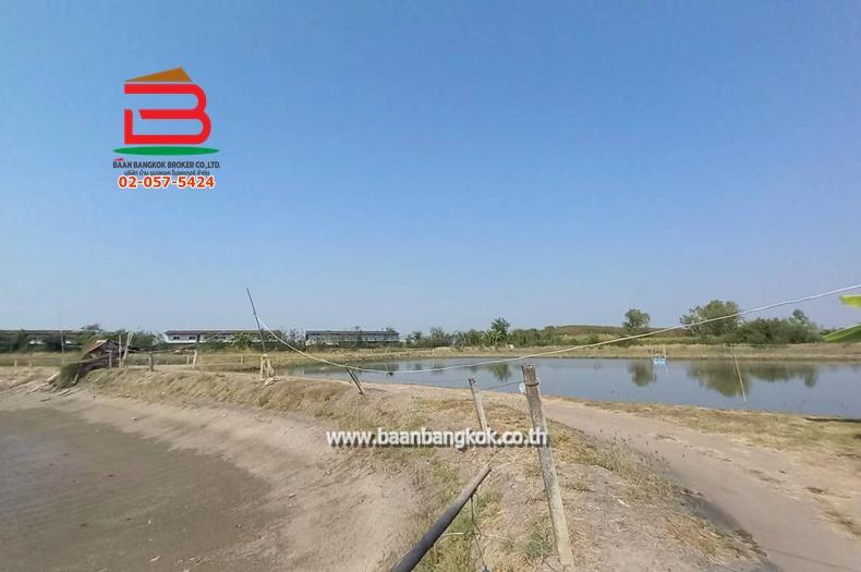 ที่ดิน ซอยโรงหลวง (ใกล้ห้างตะวันออกคอมเพล็กซ์) เนื้อที่ 9 ไร่ 1 งาน 67 ตรว. ตำบลหนองตีนนก อำเภอบ้านโพธิ์ ฉะเชิงเทรา 10