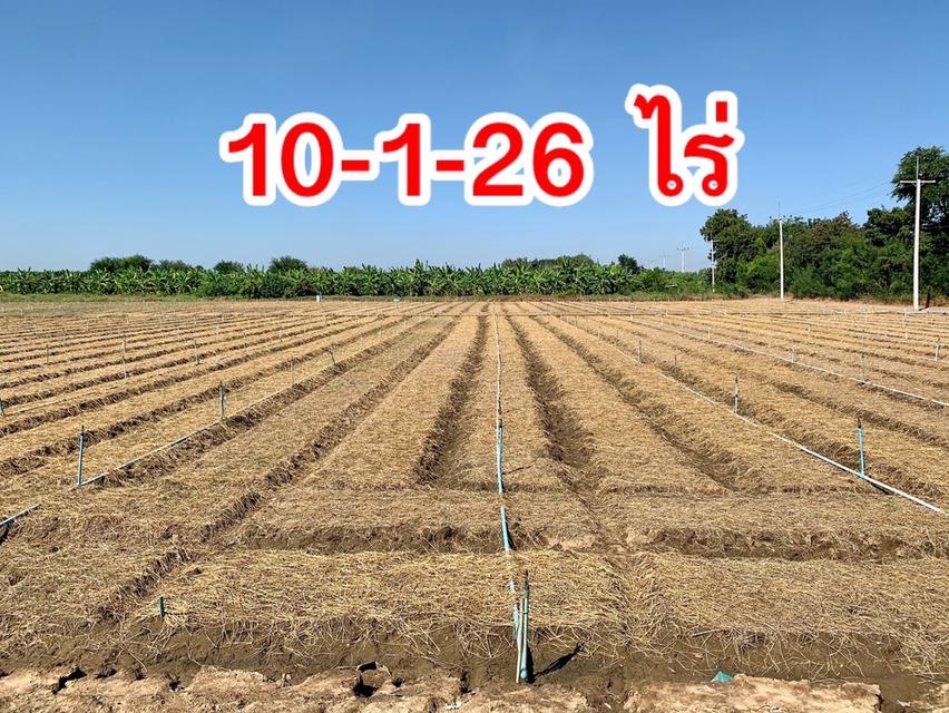 ขายที่ดินสวย2แปลง ทำเลดี ติดถนนสาธารณะ มีให้เลือก10ไร่กับ16ไร่ เหมาะทำเกษตร,ลงทุน,ทำจัดสรร 5