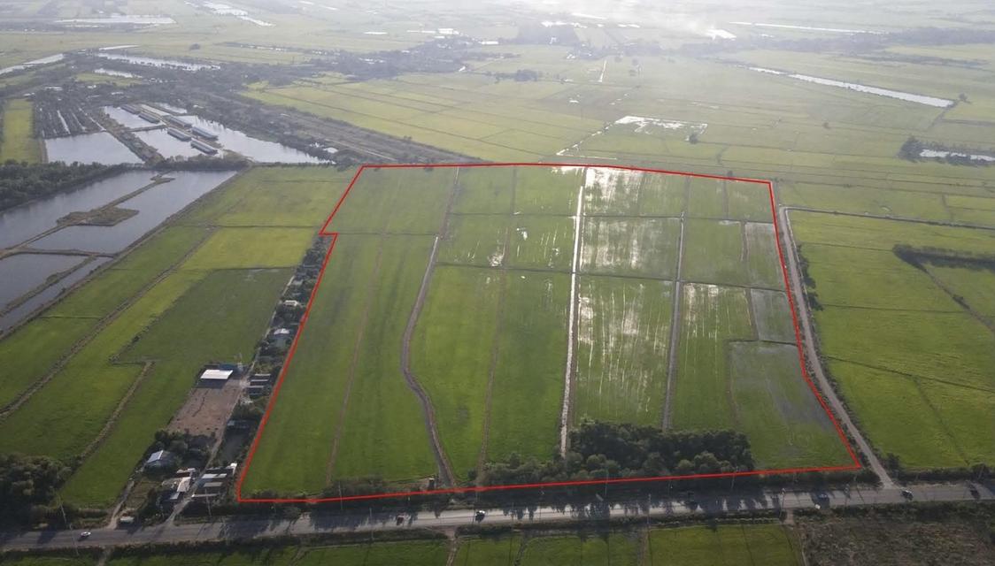 ขายที่ดิน 233-3-61 ไร่ แปลงสวย ติดถนน 2 ด้าน ต.บางขวัญ อ.เมืองฉะเชิงเทรา (เจ้าของขายเอง) 2