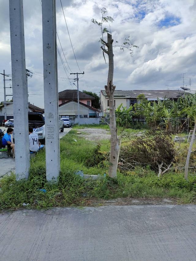 ที่ดินเปล่าถมแล้วให้เช่าในถนนนวลจันทร์ กรุงเทพมหานคร 8