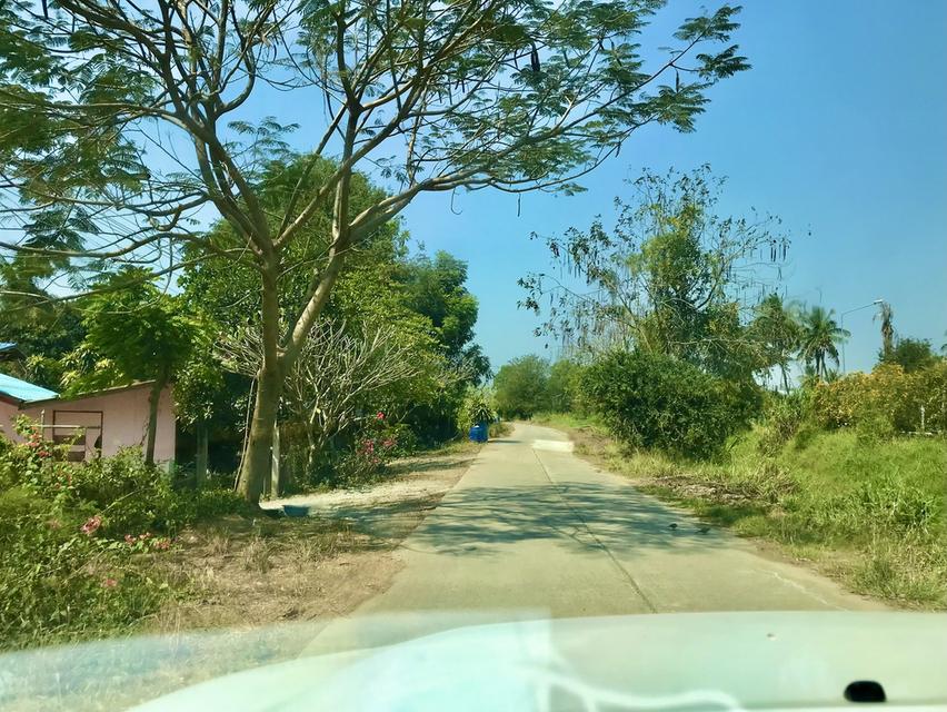 ที่ดิน จังหวัดอ่างทอง 8