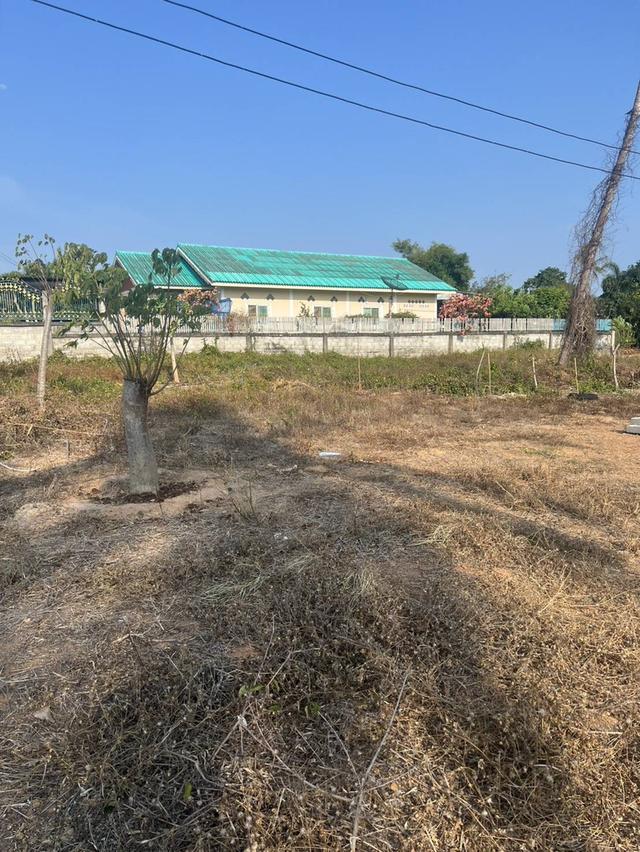 ที่ดินทำเลหลังตลาดจีนโบราณชากแง้ว ต.ห้วยใหญ่ อ.บางละมุง จ.ชลบุรี 9