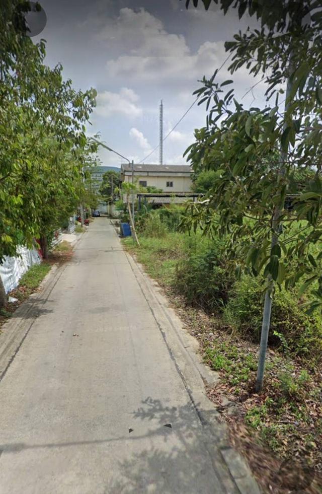 ที่ดินเปล่า เนื้อที่ 203 ตารางวา 4