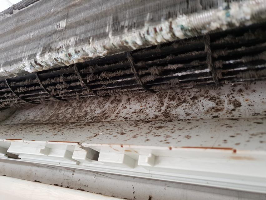 ล้างแอร์ลาดกระบัง ซ่อมแอร์ร่มเกล้า ย้ายแอร์เคหะร่มเกล้า ติดตั้งแอร์ฉลองกรุง รูปที่ 3