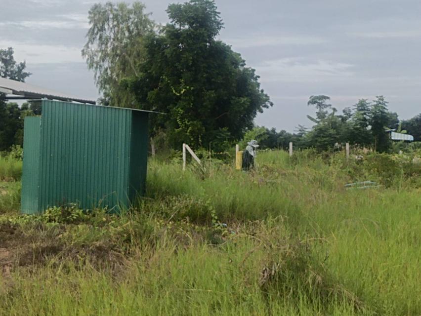 ที่ดินสุพรรณบุรี 7 ไร่ 2,500,000 ต.ดอนเจดีย์ อ.ดอนเจดีย์ จ.สุพรรณบุรี แปลงเดียวเท่านั้น โทร.อ้วน 0836955375 5