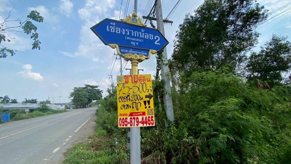 V ายถูกที่ดินใกล้วัดโพธิ์นิ่ม 225 ตารางวา(แบ่งได้) ถมแล้วทั้งแปลง ติดถนนคอนกรีต อ.สามโคก จ.ปทุมธานี 1