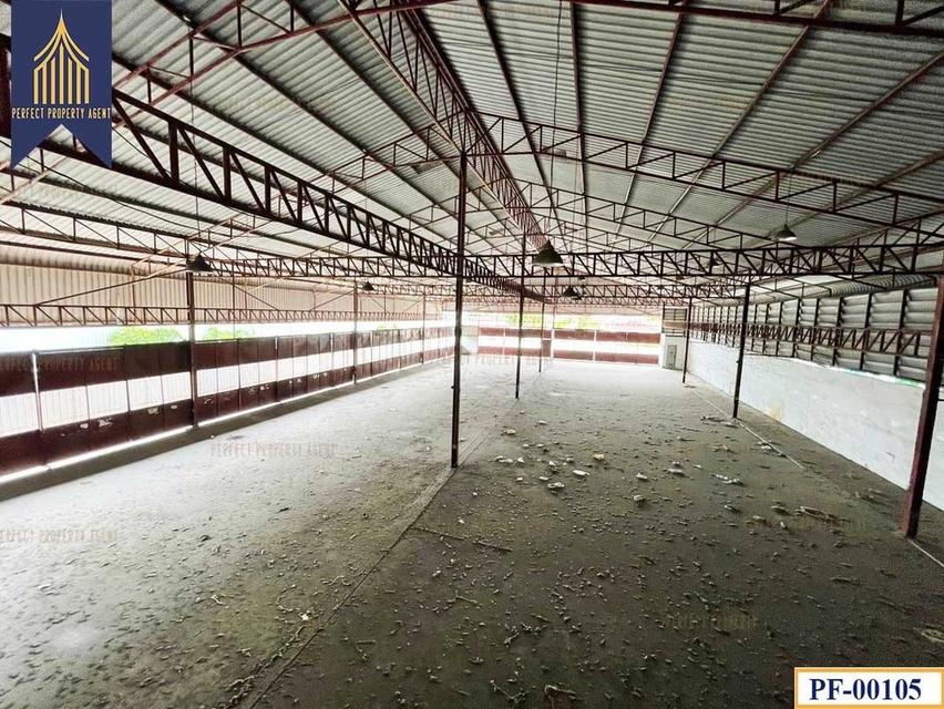ขาย/ให้เช่า ที่ดิน พร้อมโกดังโรงงาน พื้นที่สีส้ม บางนา กม.1 อุดมสุข ลาซาล 9