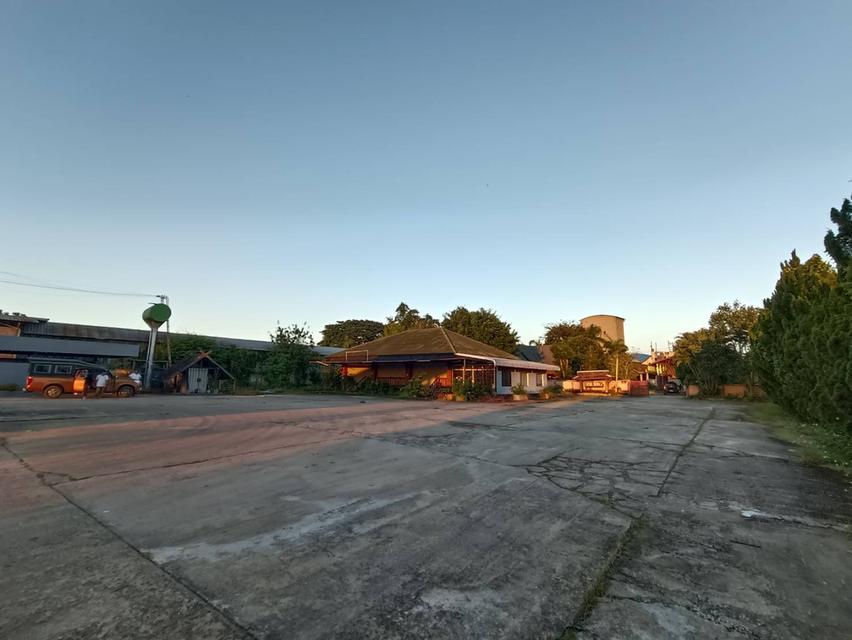 บ้านและที่ดินวิวหลักร้าน 19