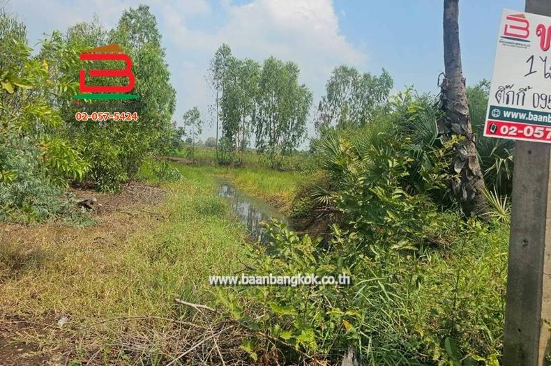 ที่ดินเปล่า หมู่บ้าน อริสรา ลาดบัวหลวง เนื้อที่ 1-0-35 ไร่ ถนนบางบัวทอง-สุพรรณบุรี อ.ลาดบัวหลวง จ.อยุธยา 5