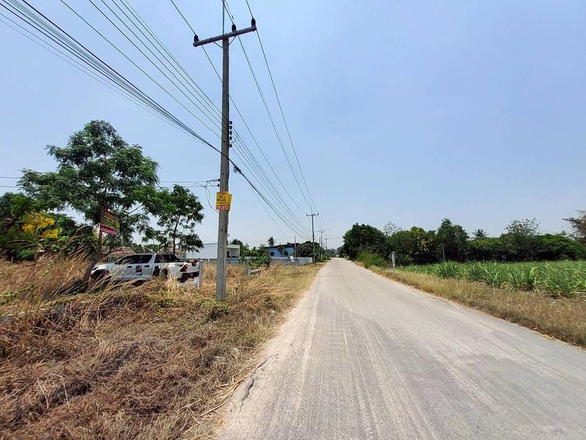 ขายที่ดินใกล้วัดหนองตาเนิด 200 ตรว ติดถนนลาดยางสาธารณะ  ต.ปากช่อง อ.จอมบึง จ.ราชบุรี 3