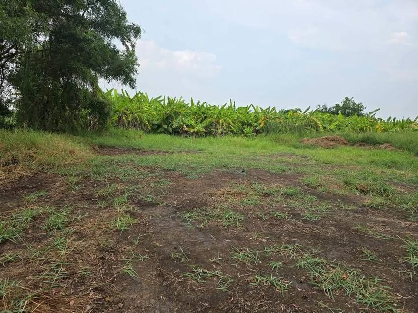 Vายที่ดินใกล้วัดพุทธวิชยาราม 50 ตารางวา ติดถนนสาธารณะ คลองหก ตต.25/1 อ.คลองหลวง จ.ปทุมธานี 6