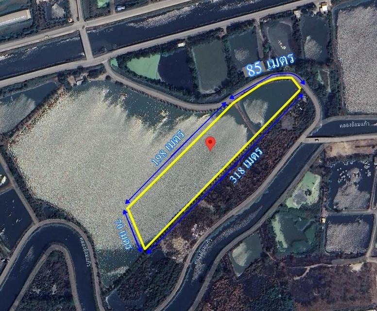 ขายที่สีม่วง อีอีซี 10 ไร่เศษ ใกล้ถนนเลียบมอเตอร์เวย์สาย 7 ใกล้นิคมอมตะ พานทอง ต.บางนาง อ.พานทอง จ.ชลบุรี 7