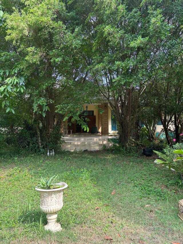 ที่ดินพร้อมอาคาร ย่านสระบุรี ติดน้ำ วิวเข้า ที่สี่เหลี่ยมแปลนสวย 2