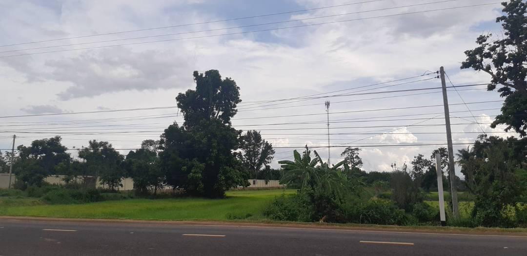 ขายที่ดินอำเภอกันทรลักษ์ 4