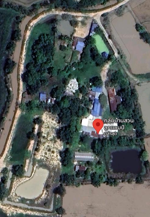 ที่ดิน พร้อมบ้าน โรงงาน โรงเรือนปลูกผัก 2