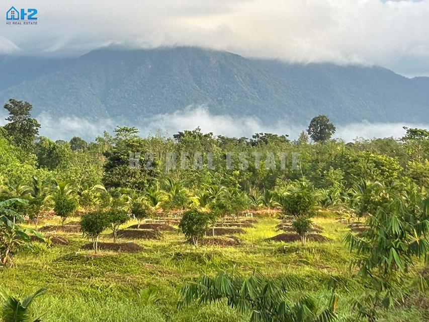 ขายที่ดินจันทบุรีสวยมากๆ  ที่ดินขนาด 70 ไร่ ติดถนนใหญ่ 20