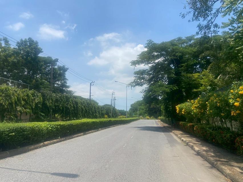 ขายที่ดินในสนามกลอฟ ลาดกระบัง สมุทรปราการ 3