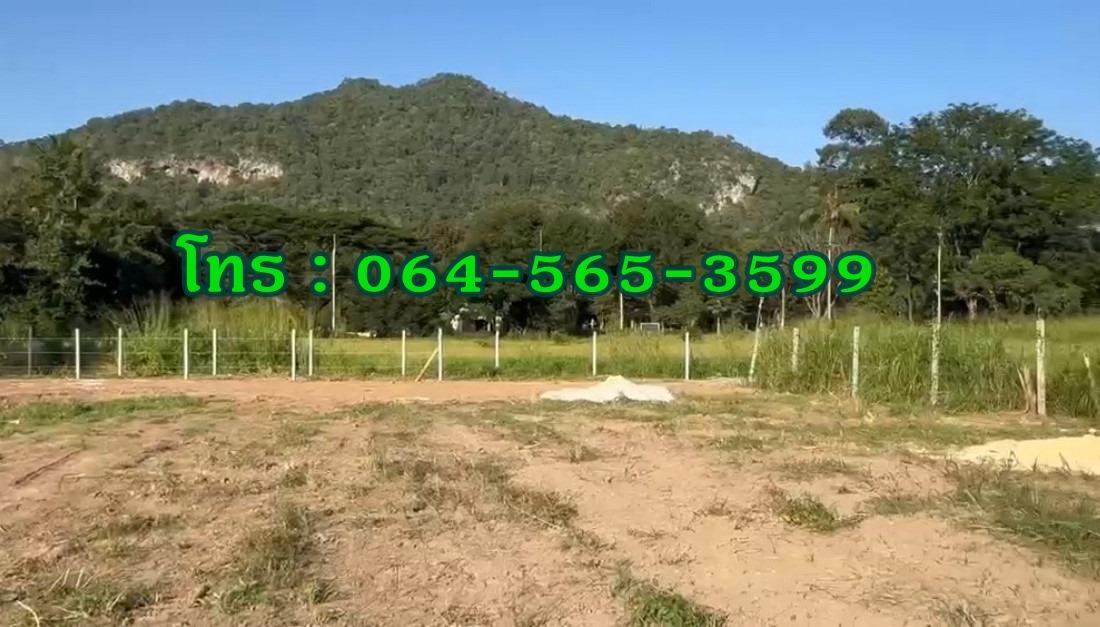 ขายที่ดินใกล้เขาใหญ่ 432 ตร.วา ใกล้ถนนธนะรัชต์ ตำบลหมูสี ปากช่อง นครราชสีมา 3 นาที ถึงทางขึ้นเขาใหญ่ 2