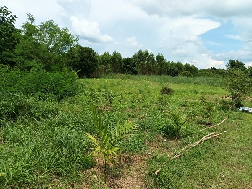ที่ดินเปล่า ต.เขาหินซ้อน อ.พนมสารคาม จ.ฉะเชิงเทรา 1