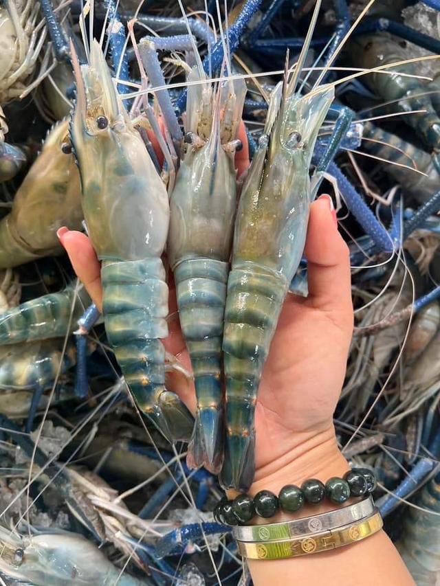 กุ้งแม่น้ำ พร้อมส่ง ราคาถูก 2