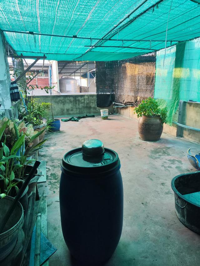 บ้าน อาคารพานิชย์ 5ชั้น 3