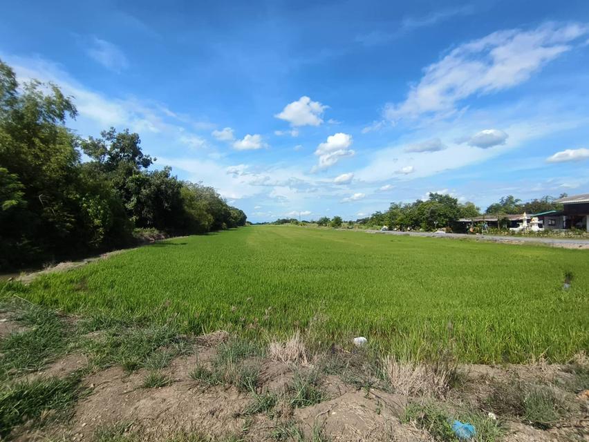 ขายที่ดิน 40 ไร่ คลอง 12 ธัญบุรี 3