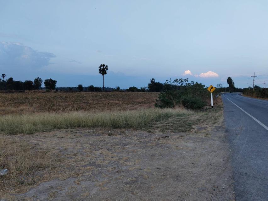 ที่ดินลพบุรี เนื้อที่ 6 ไร่ 90 ตารางวา 9