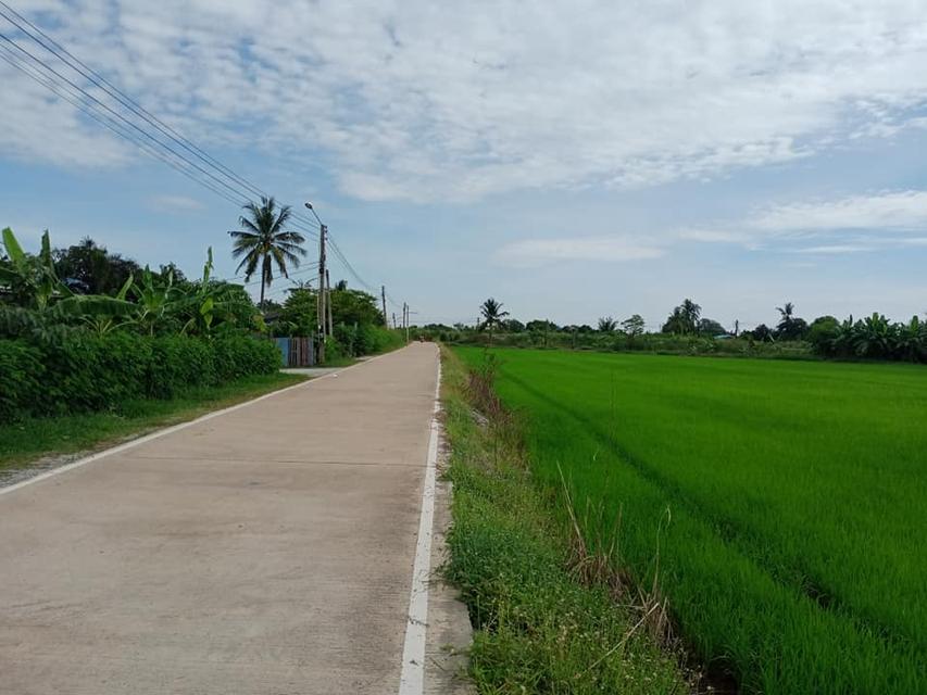 ขายที่ดินท่าไข่ แปดริ้ว 4 ไร่ ซอยวัดนิโคธาราม ใกล้สถานีรถไฟความเร็วสูง เมืองฉะเชิงเทรา 1