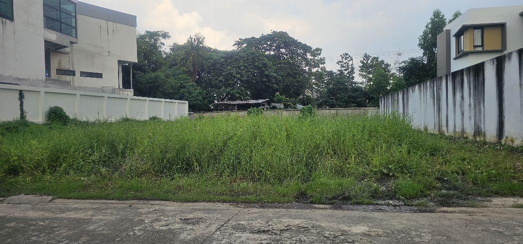 ขาย ที่ดิน หมู่บ้านเพชรเกษม3 196.3 ตร.วา แปลงสวย ถมแล้ว เหมาะสร้างบ้าน