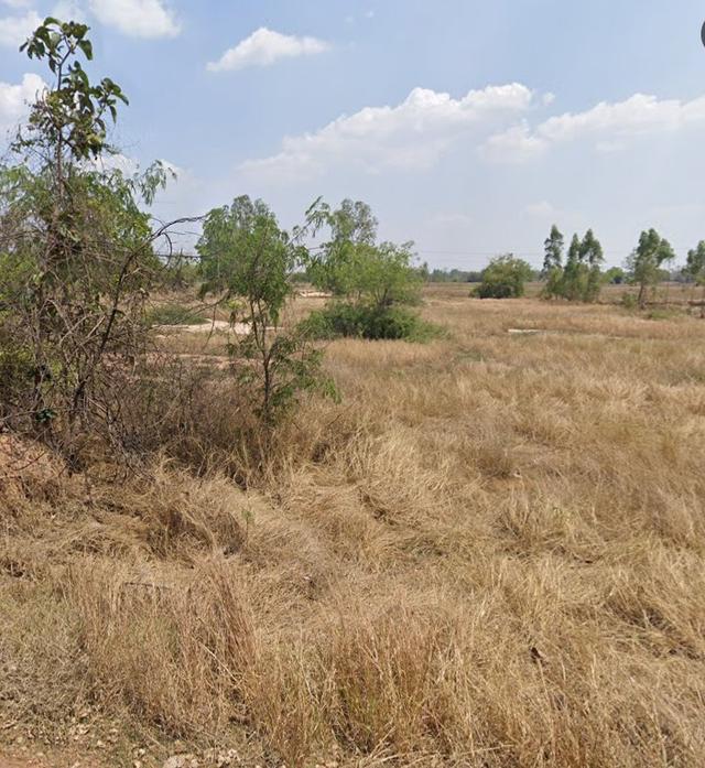 ขายที่ดิน 𝟓 ไร่ ตำบลบ้านทุ่ม อำเภอเมือง จังหวัดขอนแก่น  พิกัด ใกล้วัดป่าหนองแวงโพนทอง (วัดพญานาค)  3