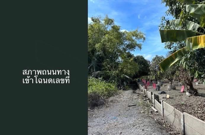บ้านเดี่ยว 14