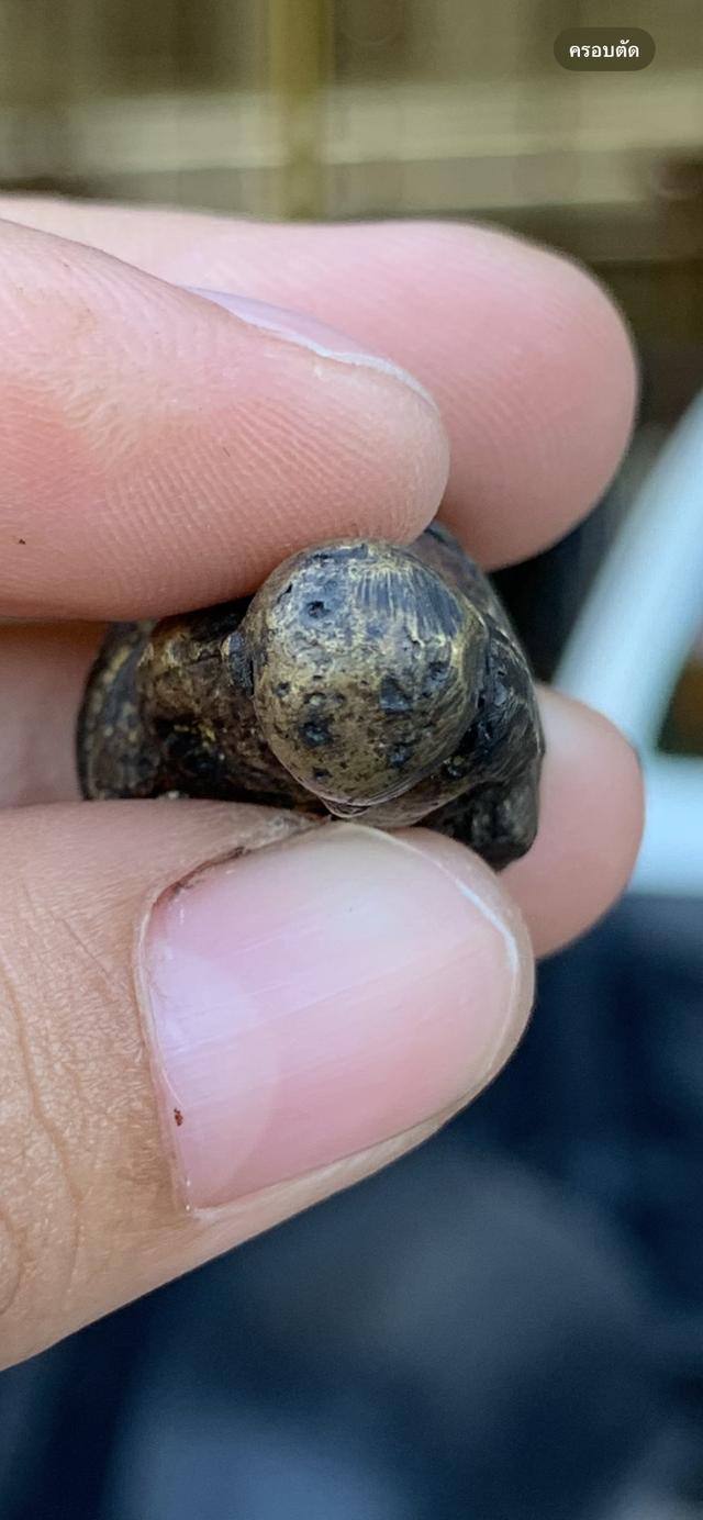 รูปกล่อหลวงพ่อเงิน ไม่รู้พิมพ์ 6