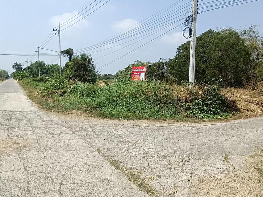 ที่ดินเส้นของปูนหน้าธนาคารออมสินตำบลท่าเรืออำเภอท่าเรือจังหวัดพระนครศรีอยุธยา 3