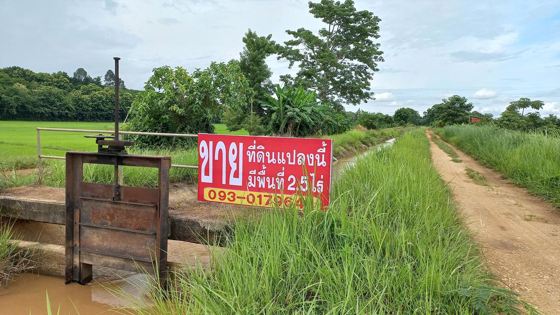 ที่นาติดคลองชลประทาน ติดเมืองเชียงราย 5