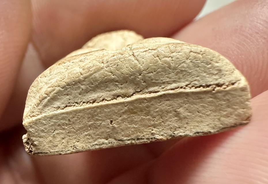 พระปิดตาพิมพ์หลังพระสังกัจจายน์ หลวงปู่เฮี้ยง วัดอรัญญิกาวาส(วัดป่า) ปี 2505 3