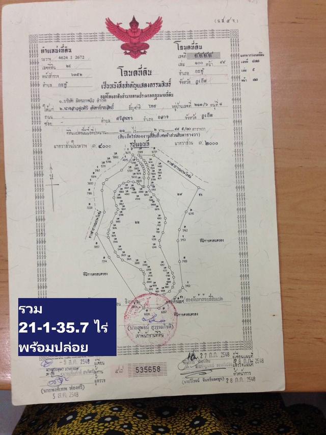 ขายที่ดินภูเก็ตทำเลเด็ดทำบ้านขายสบายๆ 21-1-35.7 ไร่ แปลงสวย กะทู้-ป่าตอง เส้นข้างหมู่บ้านเดอะแพลนท์,THE PLAM บ้านหรูพฤกษา กะทู้-ป่าตอง 170 MB หาไม่ได้ 17