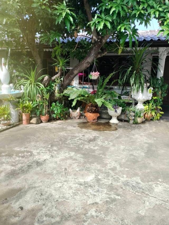 ขายบ้านเดี่ยว 2 ชั้น 147 ตร.ว. ลาดพร้าว ซ. 41 (ซอยภาวนา) ใกล้ เซ็นทรัล ลาดพร้าว 3