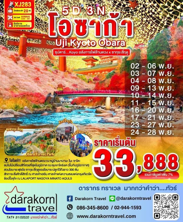 ทัวร์ญี่ปุ่น อลังการไฟล้านดวง x ซากุระสี่ฤดู 5วัน 3คืน
