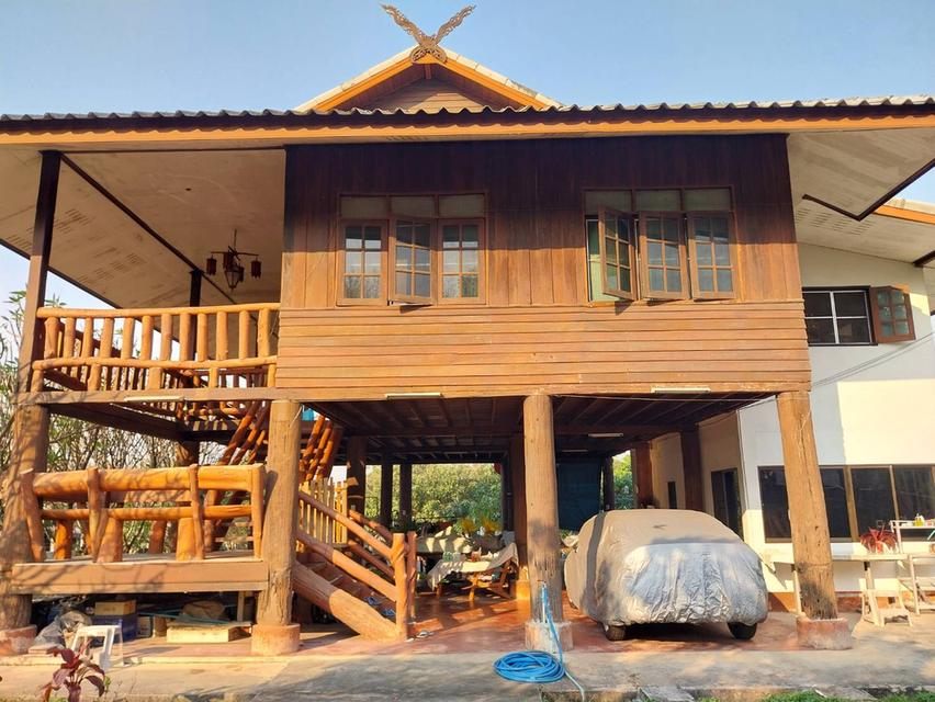 ขายบ้านพร้อมที่ดิน ทำเลดี วิวสวย บรรยากาศธรรมชาติ จังหวัดเชียงใหม่ 1