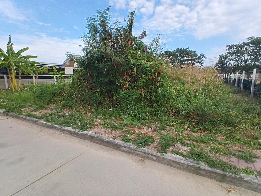 ที่ดิน 56.1 ตารางวา ถมแล้ว ซอยเฉลิมพระเกียรติ 39/2 ติดสวนหลวงร 9 เขตประเวศ กรุงเทพฯ 5