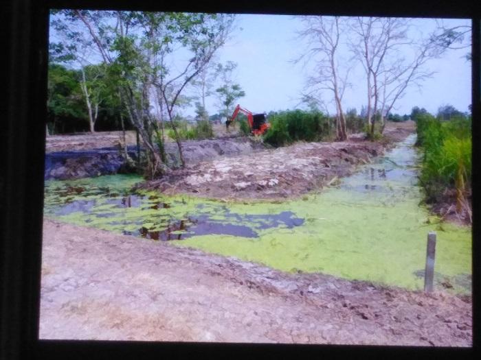 ที่ดินลำลูกกา คลอง14 2 ไร่ 3