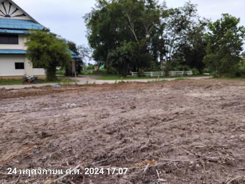 ขายที่ดิน 3 ห้อง หลังอีซูซุ นาทวี ต.นาทวี อ.นาทวี จ.สวขลา