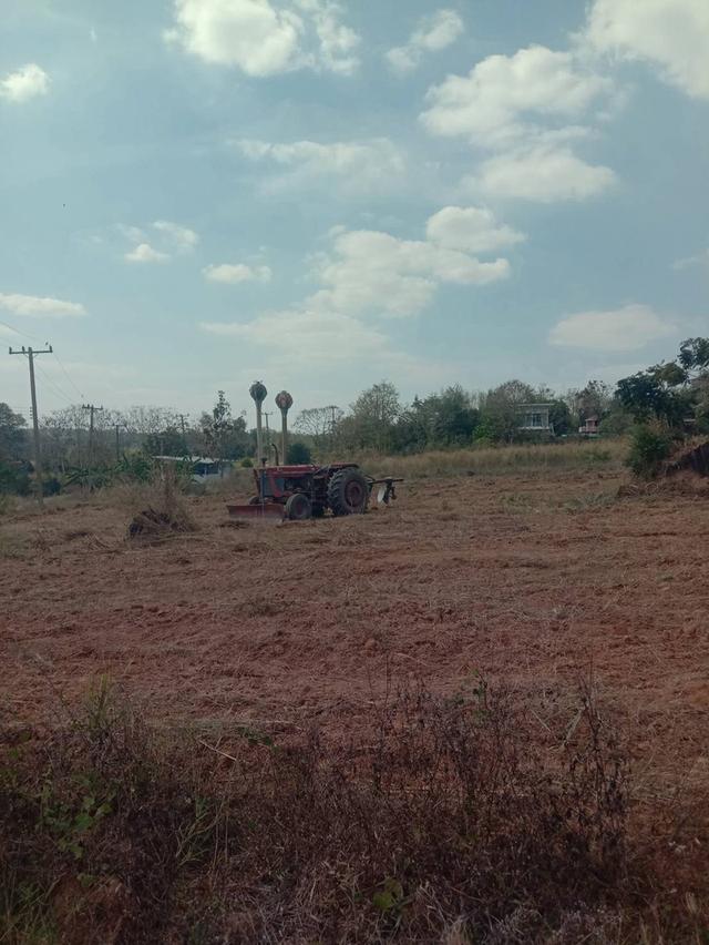 ที่ดินเปล่า มีหลายไร่ แบ่งขาย 1 ไร่ 6 แสน บ้านศิลางาม  วังน้ำเขียว รูปย่อยที่ 3