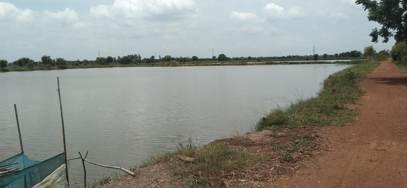 ขายที่ดินโฉนดครุฑแดง 171 ไร่ – พนมสารคาม ฉะเชิงเทรา 6