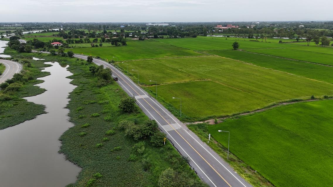 🏡 ที่ดินริมบึงบ้านโพธิ์ ! อ.เมือง สุพรรณบุรี 3
