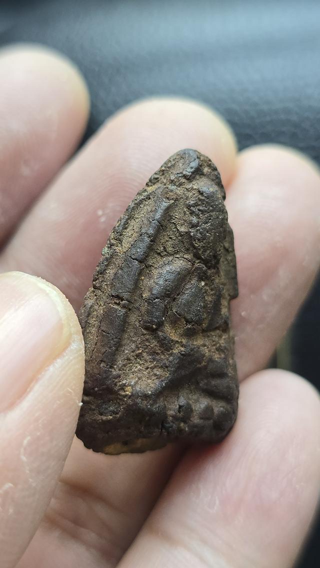 หลวงพ่อทวดเนื้อว่าน ปี 2497 พิมพ์กลางอกแฟบ(หน้ากลม) รูปที่ 3