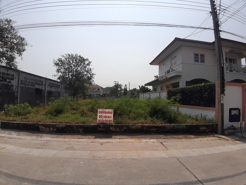 ที่ดินหมู่บ้านชัยพฤกษ์ บางพลี ซอย 22 1