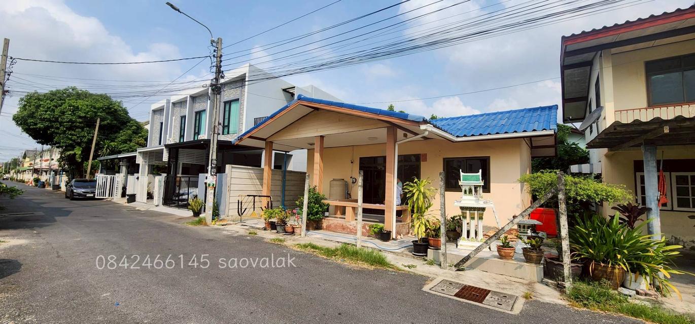 ขายบ้านเดี่ยว ชั้นเดียว ลาดพร้าว101 แยก 46 ราคาดีมาก ต่อรองได้ 1