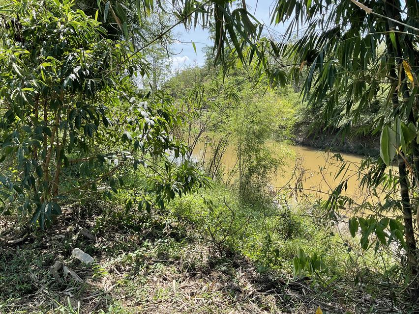 1 ไร่ 2 งาน 11 ตารางวา หน้าติดถนนสายหลัก หลังติดคลอง (บ้านหาร) 7